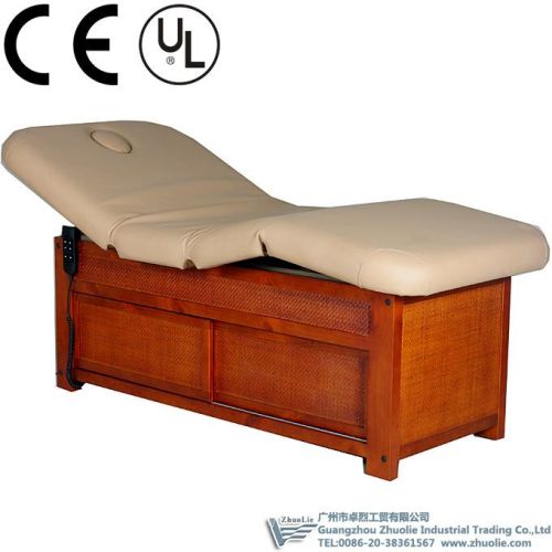 Double Motors Electric Massage Table (09D09), Packaging Type : option