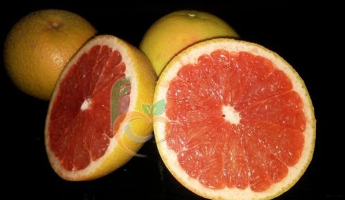 Egyptian Fresh Grape Fruit, Variety : Citrus