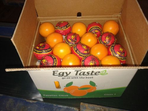 Egyptian Fresh Navel Orange By Fruit Link