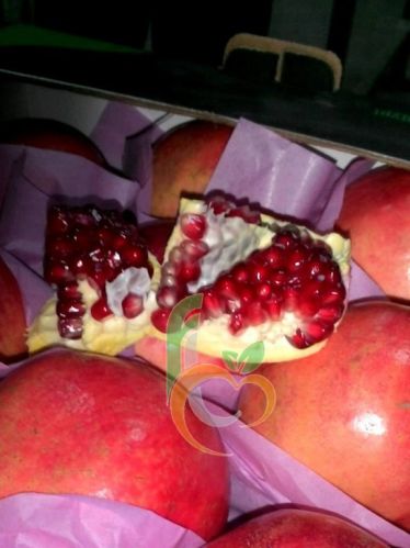 Fresh Pomegranates