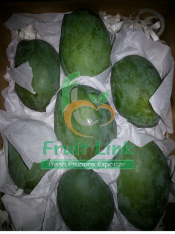 Egyptian Mango ( Zbidya ) By Fruit Link