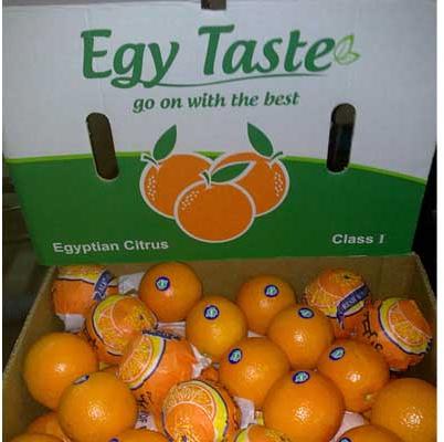 Egyptian Orange