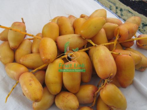 Fresh Samani Dates From Egypt By Fruit Link