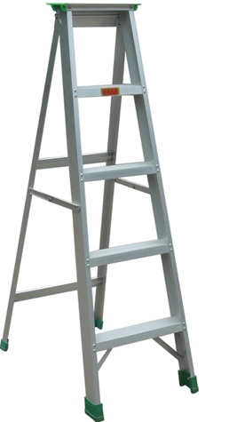 Platform Ladder