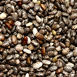 Castor Seeds,Cotton Seeds,Flax Seeds,Jatropha Seeds,Rape Seeds,Sesame Seeds,Sunflower Seeds,Chia Seeds