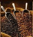 Arabica Coffee, Flavor : Chocolatey
