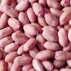 Groundnuts