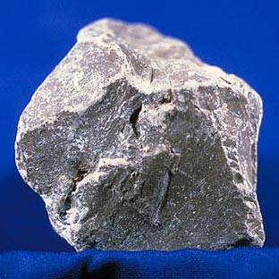 Limestone