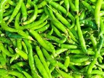 Fresh Green Chilli