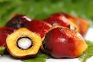 Crude palm oil, Cultivation Type : Natural