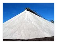 Salt