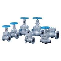 Audco Cast Steel Gate Globe Valve