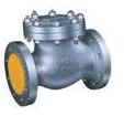 Pressure Seal Check Valve