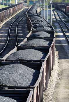 Indonesian Coal