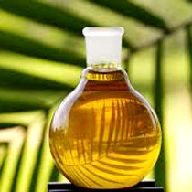 Palm Oil