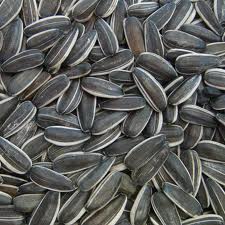Sunflower seeds