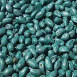 Cotton seeds, Packaging Size : 25-50kg