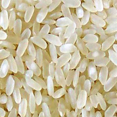 White Short Rice