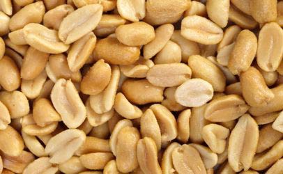Roasted Groundnut Kernels