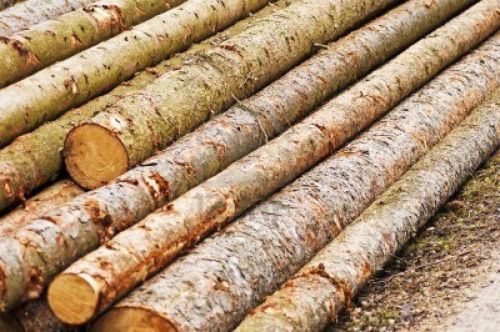 Wood logs