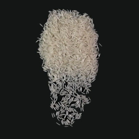 Pusa White Basmati Rice
