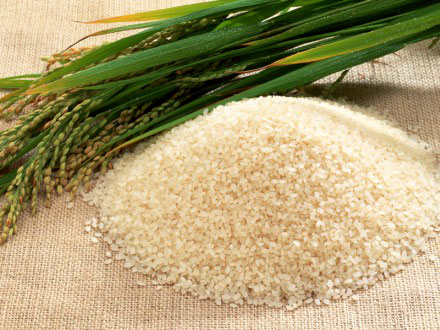 Natural Basmati Rice, For Food, Feature : No Preservatives, No Artificial Color