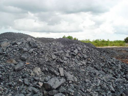 Steam Coal