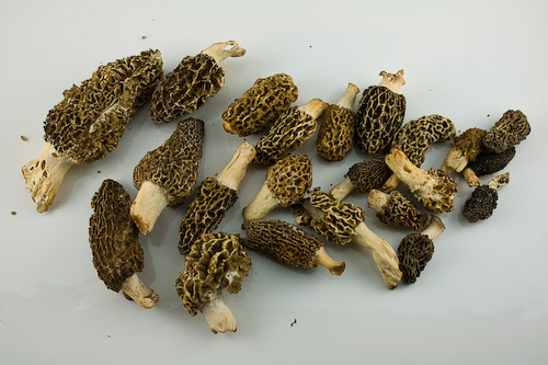 Dried morel mushroom