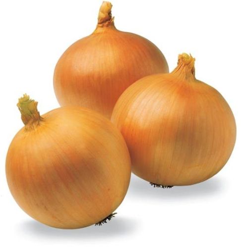 Onion