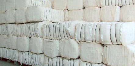 Cotton Bales