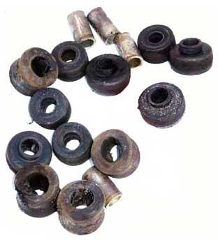 Anasuya Rubber Bushes