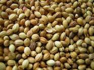 Coriander seeds, Specialities : Good Quality