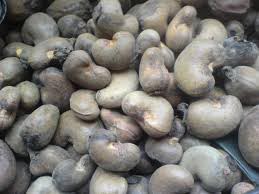 Raw Cashew Nuts