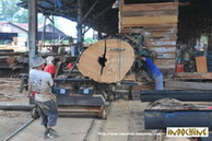 Timber, Lumber, Flooring - Exporter