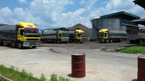 Palm Kernel Shell, Form : Solid