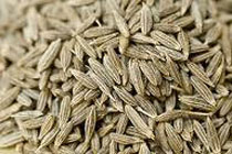 Cumin seeds, Moisture : 9%