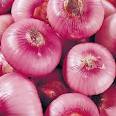 Quility Fresh Red Onions
