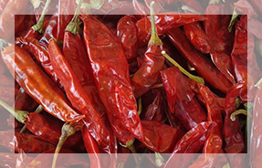 Dry red chilli, Packaging Type : Plastic Bag