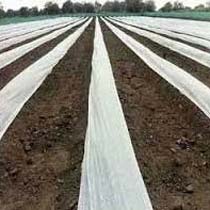 Agricultural Mulch Film