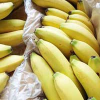 Fresh banana, Purity : 100%