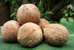 Semi Husked Coconuts