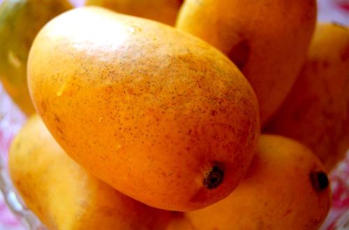 Fresh Mango,fresh Mango