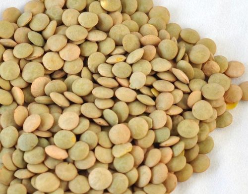 Green Lentil