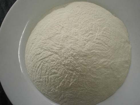 Calcium Peroxide Powder