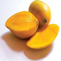 Fresh Mangoes