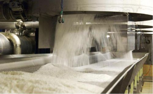 Icumsa 45 sugar, Shelf Life : 1 Year