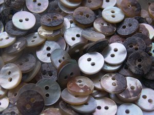 Agoya Shell Buttons 12L~48L, Brand Name : ZJW