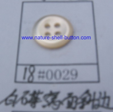 Shell Button, Nature Shell Button