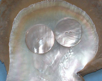 Shell Button,nature Shell Button,trocas Shell Button,mop Shell Button, Black Shell Button, Agoya Shell Button,akoya Shell Button, Smoke Shell Button