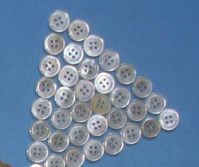 Shell Button, Nature Shell Button